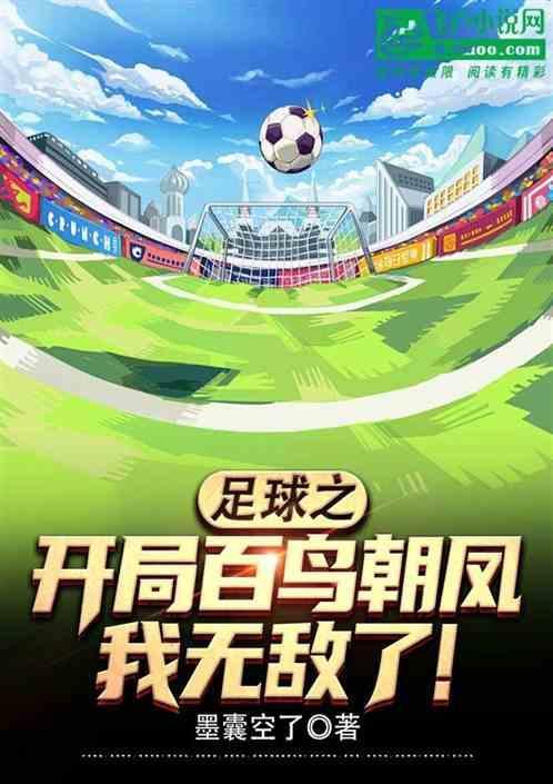 足球之从零开始