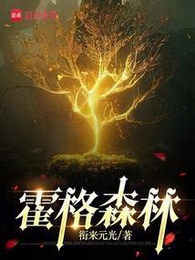 霍森格拉瑟攻略