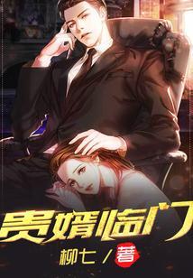 贵婿临门周毅全集免费阅读