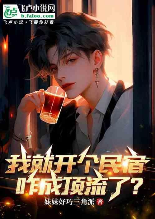 我在开民宿手游完整版