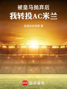 我转投AC米兰TXT