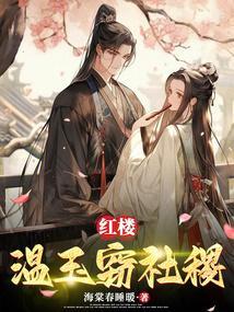 红楼之温僖贵妃成贾敏书包