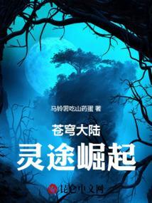 灵驭苍穹
