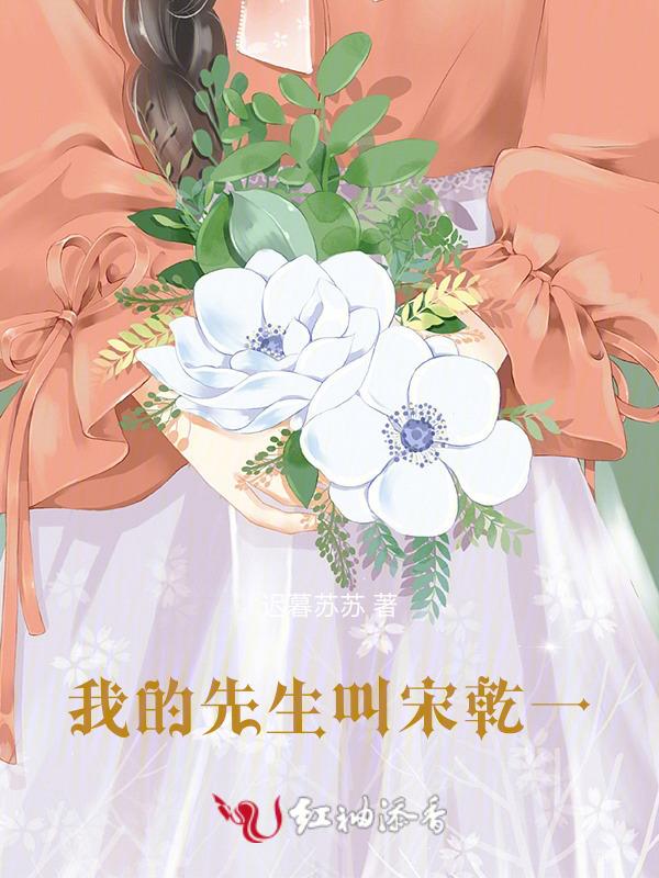 我的宋先生英语怎么说