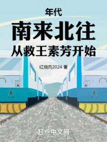 年代南来北往从救王素芳开始