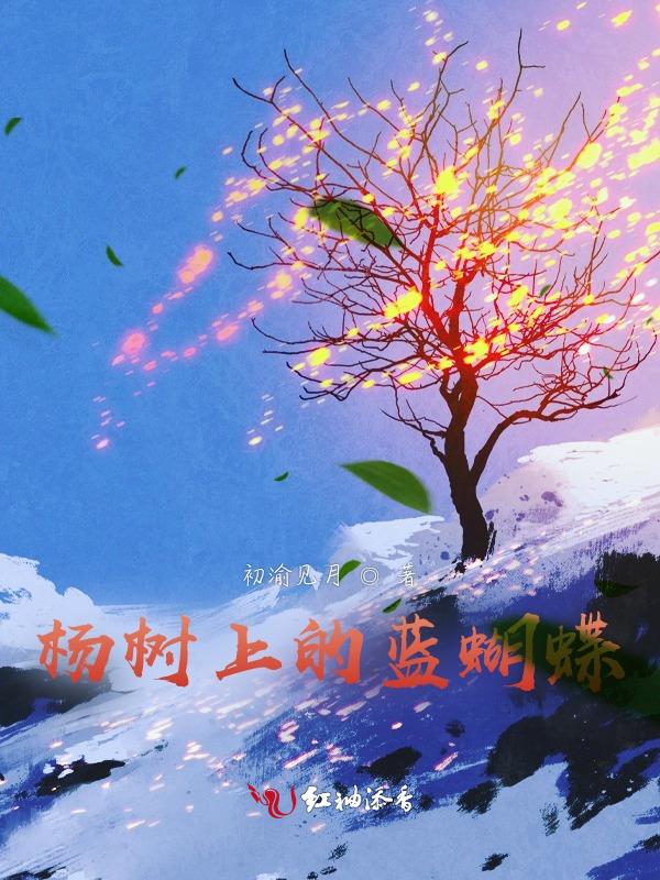 听蝉鸣夏