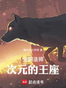 全职法师之次元