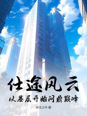 仕途高峰之风云再起