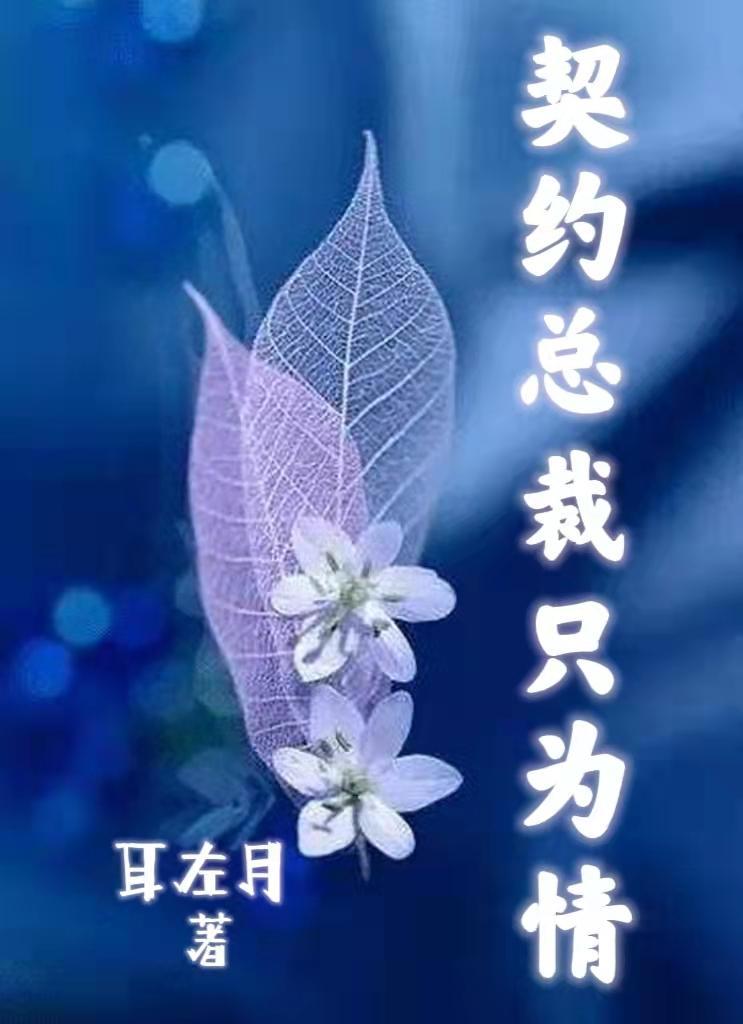 总裁的豪宠