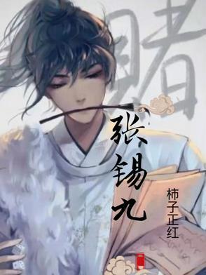 聊城 张锡九