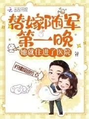 替嫁 将军