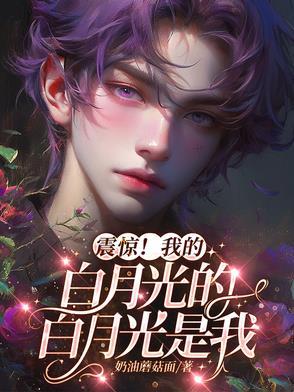 我的白月光是什么书