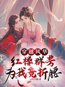 穿越红楼全本