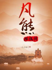 正版熊族