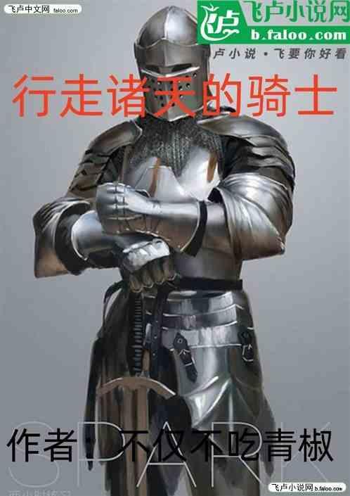 行走诸天的骑士